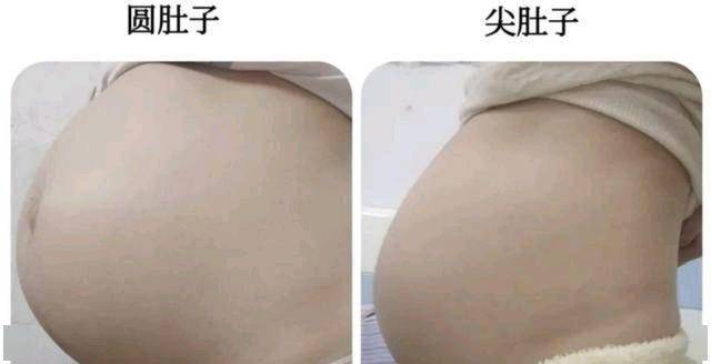 7dc76f73c1eb462daa453e9b40616853.jpeg