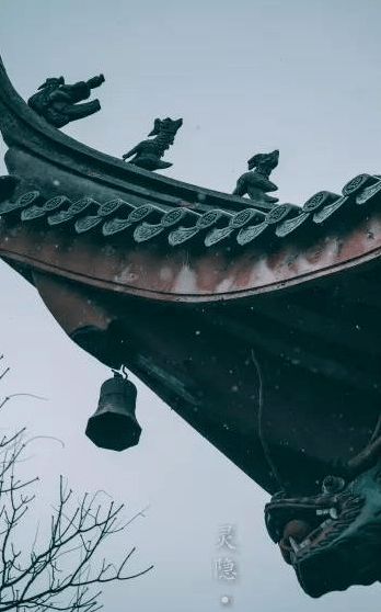 阳光喷了这香水，我被壁咚了1000次！