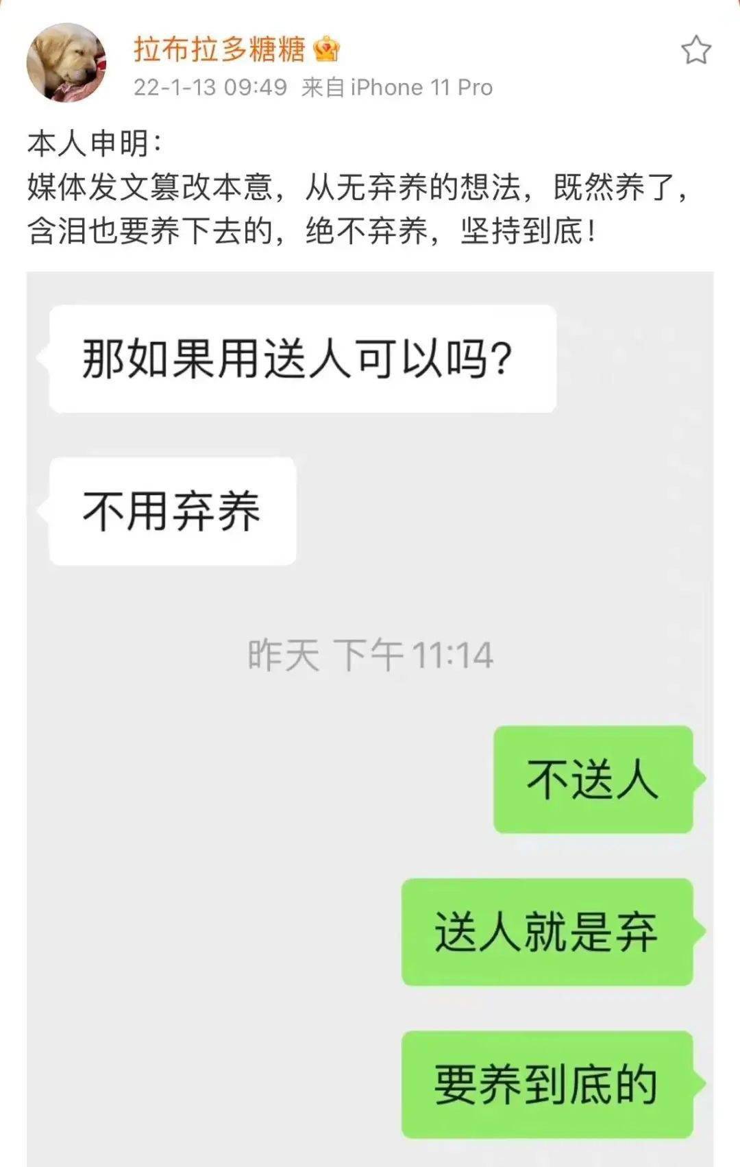 指令男主人花七千元送宠物狗上学后仍被咬，当事人：绝不弃养