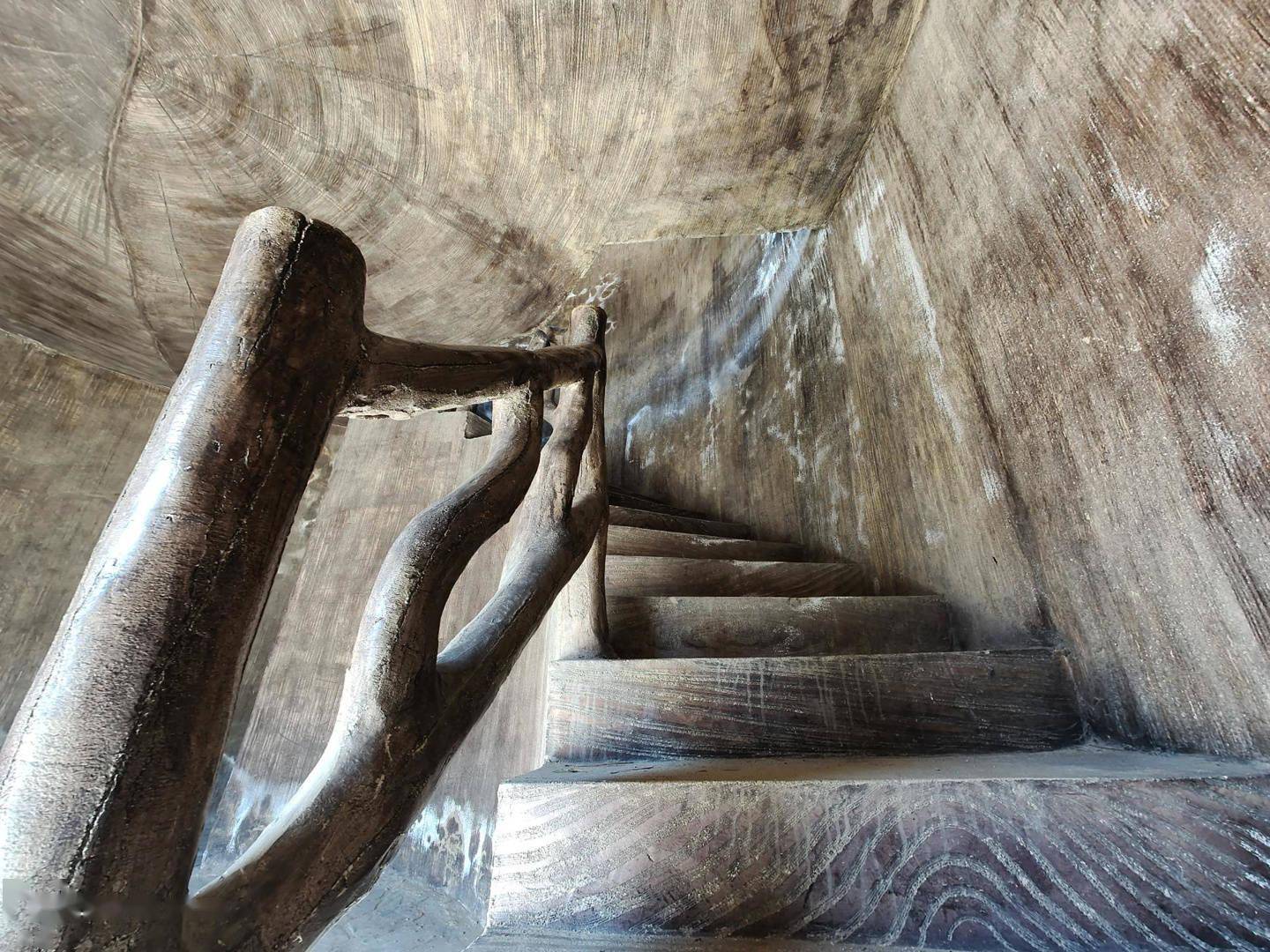 iQOO9 Pro 影像体验：首发三星 GN5，定格精彩瞬间