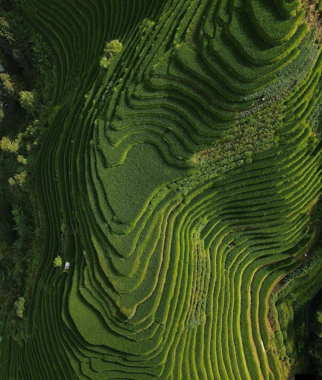 来自世界各地的50张最佳照片累TVT体育了就来看看图饱饱眼福(图5)