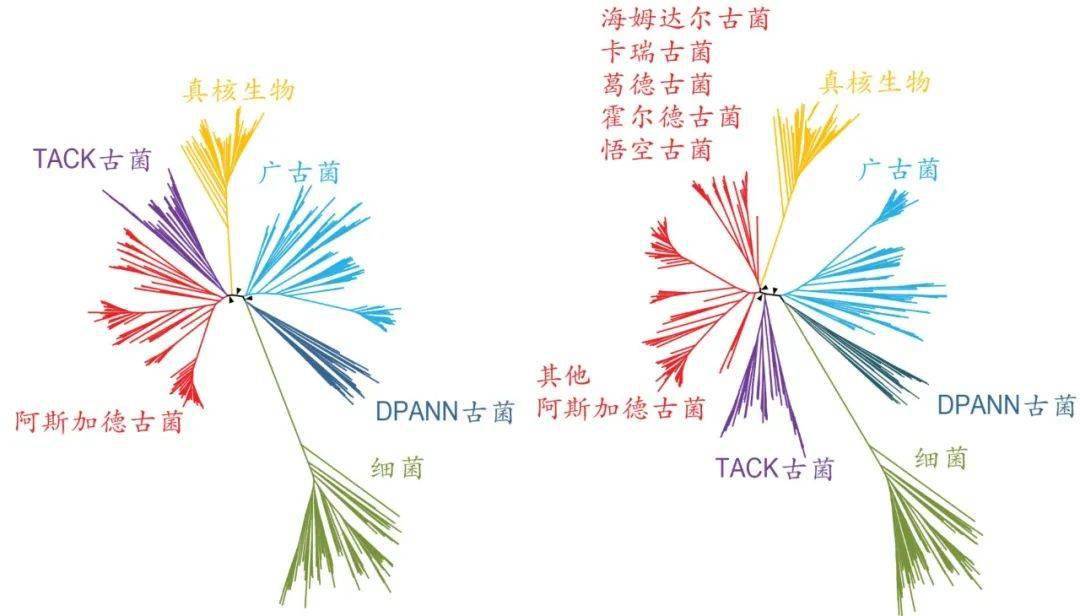 孙悟空！登上 Nature ！