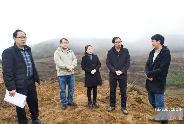 总投资1000万镇雄首家魔芋加工厂投产运营位置在