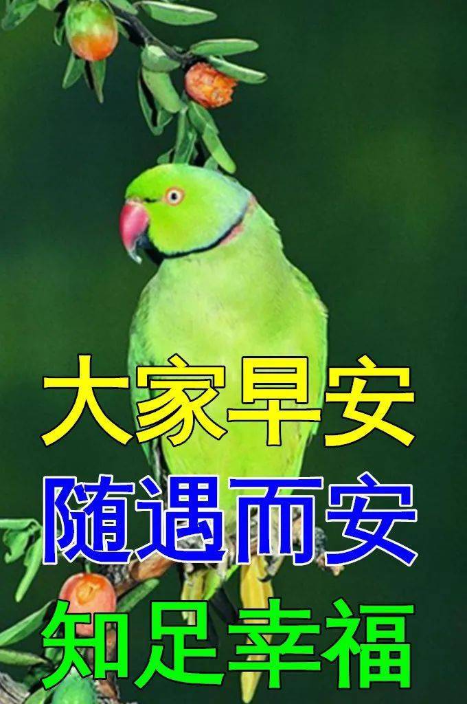 1月13日最漂亮早上好动态表情图片大全早晨好动图美图大全