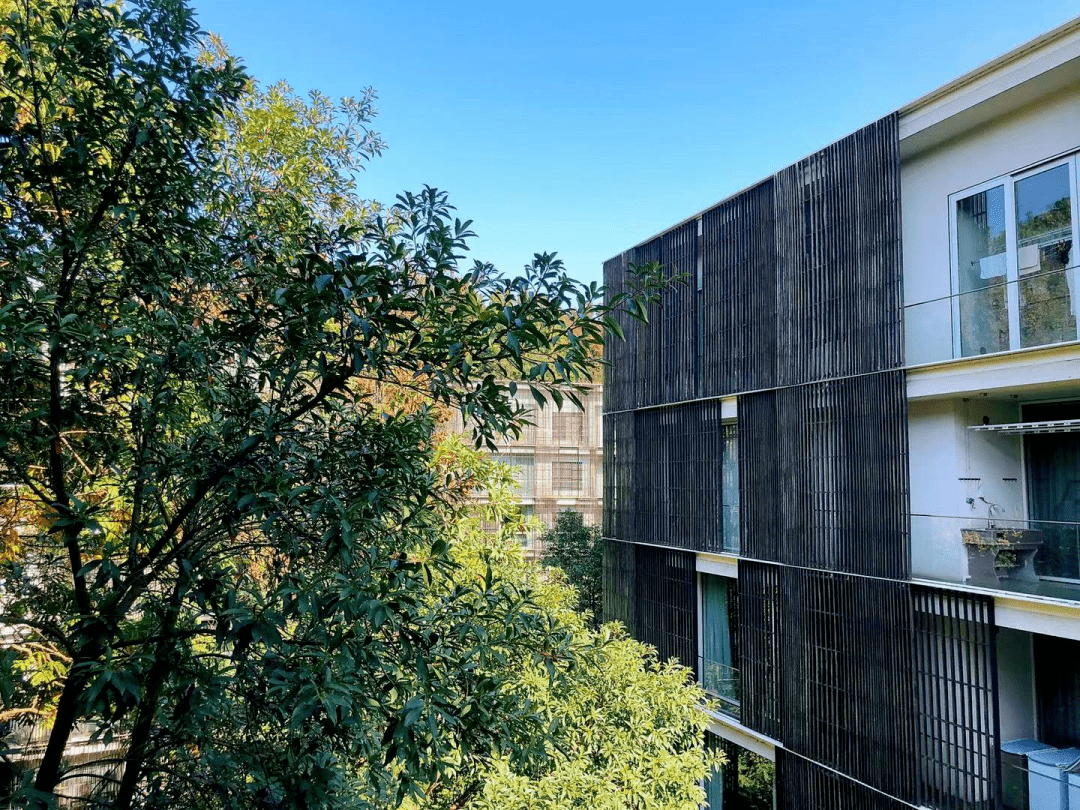 367_建筑_高亮度_九树公寓