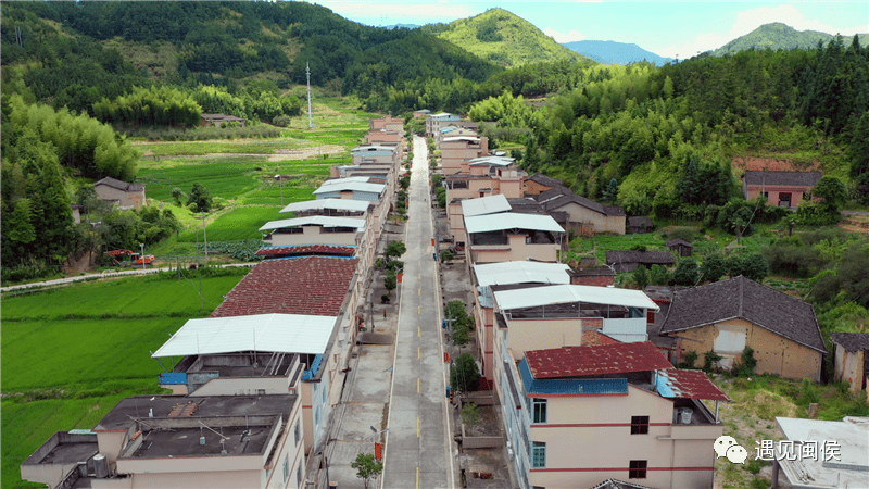 林柄村_鄉村_建設