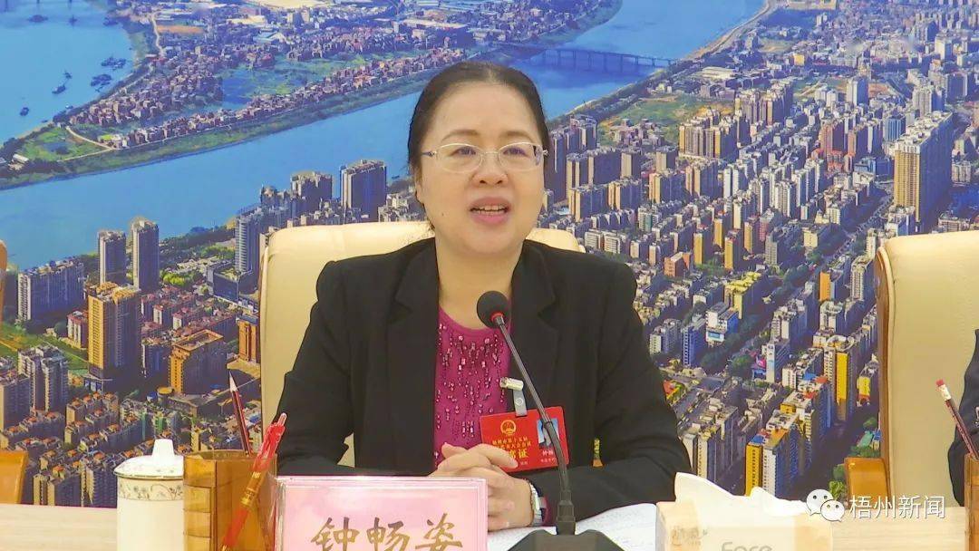 钟畅姿参加长洲区代表团审议时强调发展新业态做好茶文章