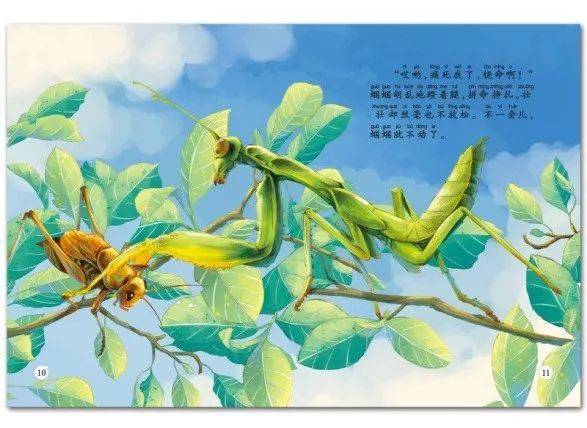 【科普绘本】4大领域32个主题，用精美的故事图画和音频培养小小科学家！