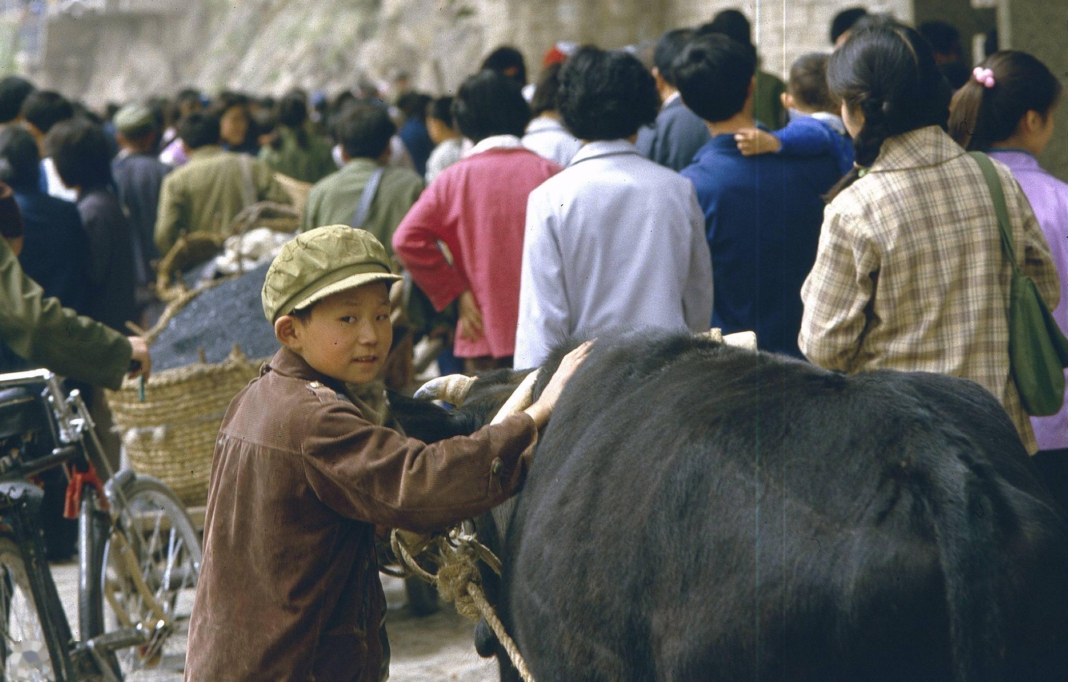 80年代的中国老照片27