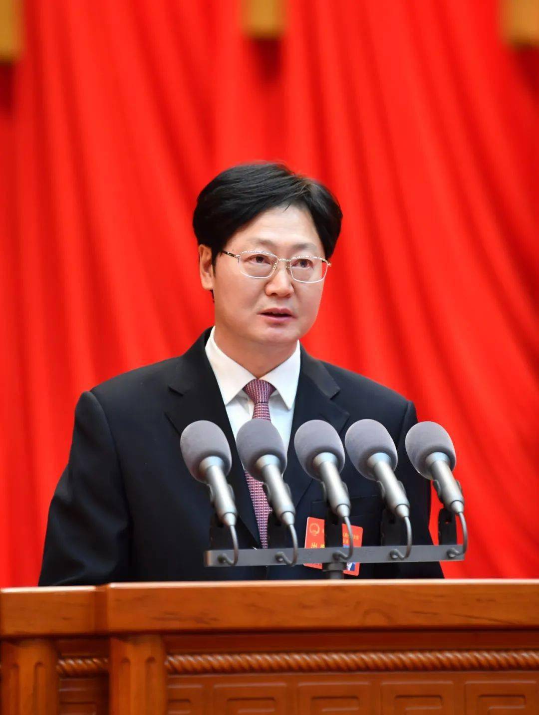 1月14日,市人民政府市长罗云峰在合肥市第十七届人民代表大会第一次