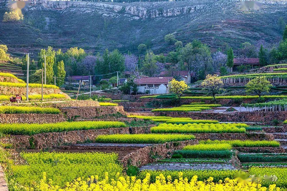 快来领略沂水崔家峪镇的多彩之美