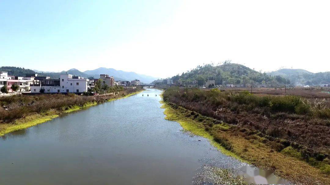 龙川县紫市镇两代表一委员带头开展保护母亲河美丽我家园志愿服务活动