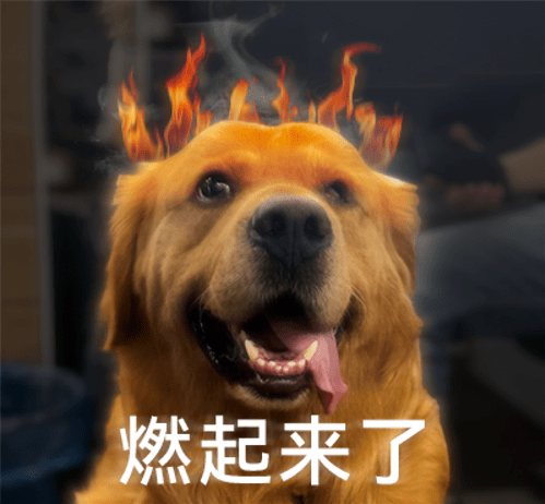 浏览器|这个新格式比JPEG强50倍，但它还是干不掉30年前的JPEG。