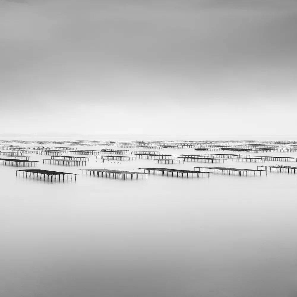 年度世界黑白摄影大赛的获奖作品艺术的享受