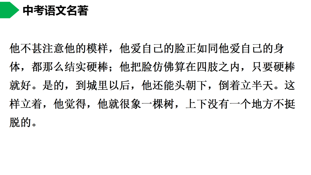 祥子|初中语文 | 七年级下册：《骆驼祥子》名著导读+思维导图 +考点合集，寒假预习必收！