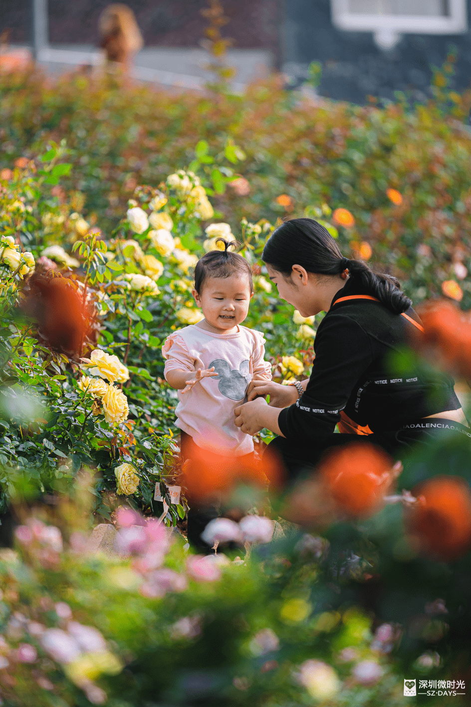 花海|2022年的第一片花海，被疫情给耽误了