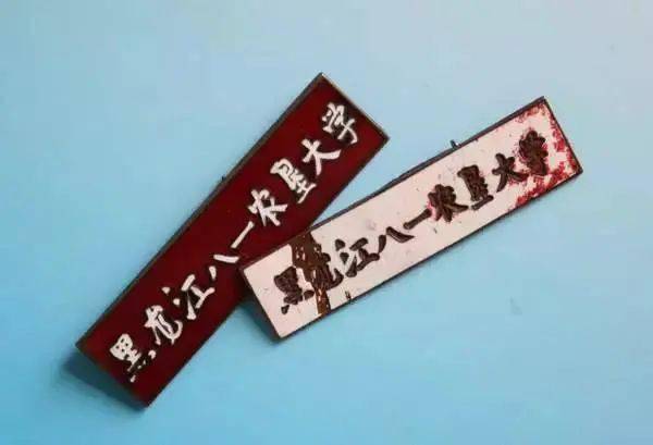 收藏密山黑龙江八一农垦大学老照片