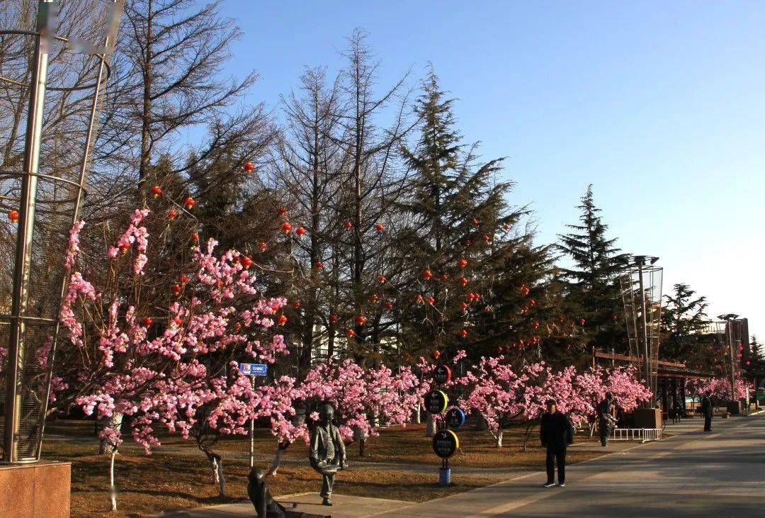 春节景区关闭