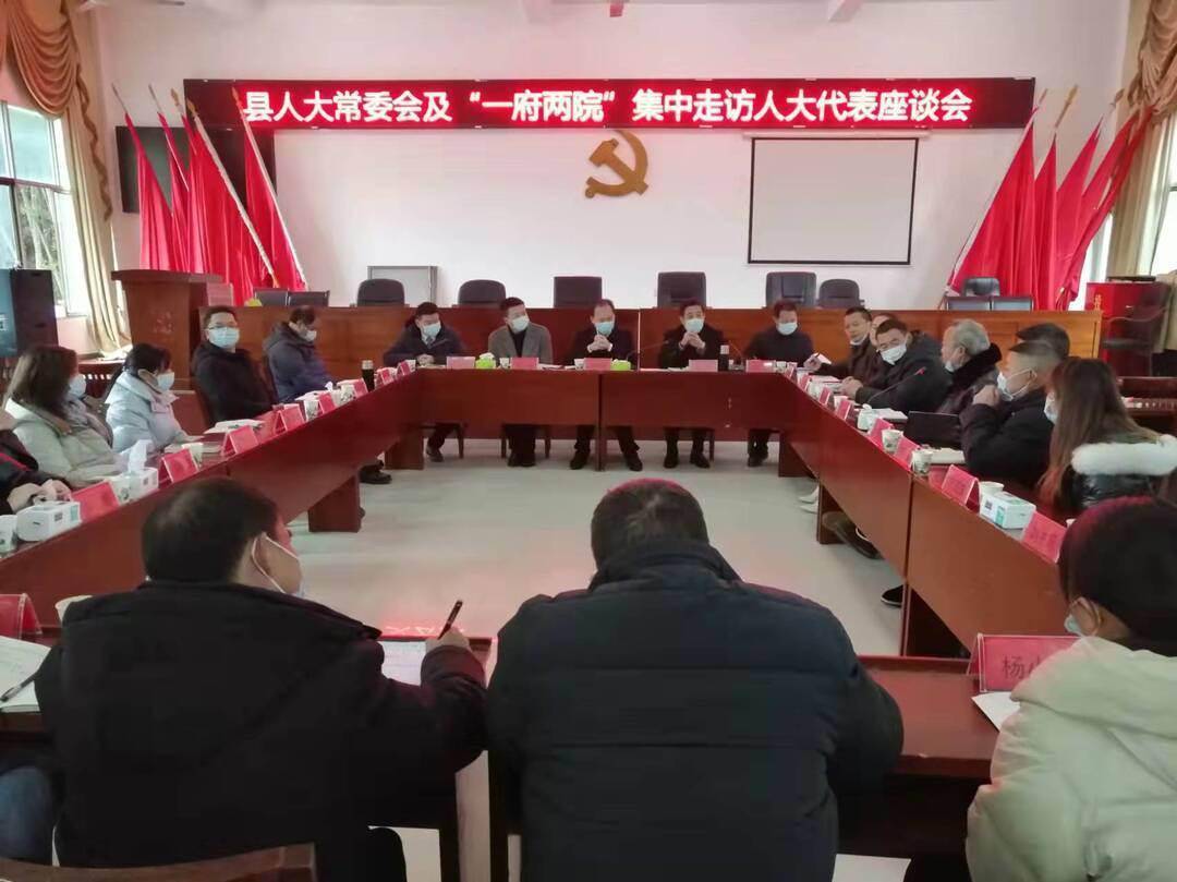 城步苗族自治县人大常委会及"一府两院"相关人员深入西岩镇,蒋坊乡