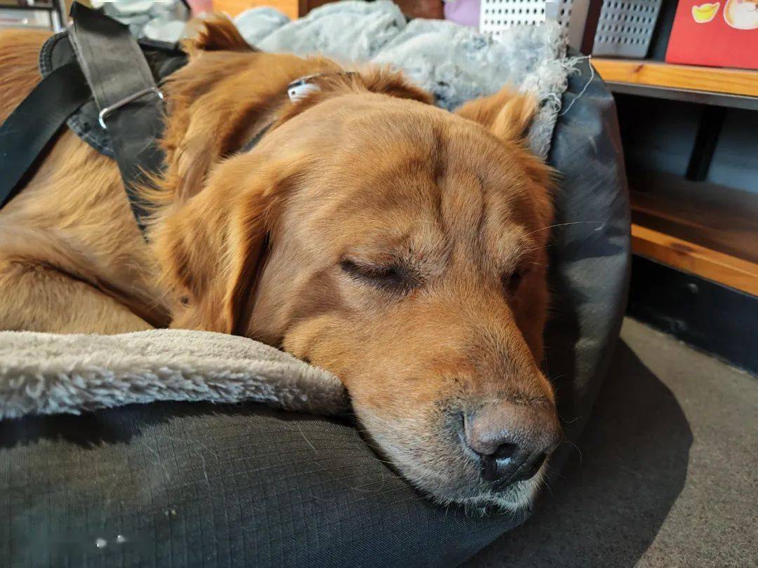 华为小米曾经拼命登顶的DXO排行榜，终于没人Care了。。。