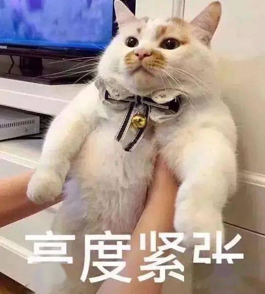 怎么样说话才好听呢 03b287b6953749b79d796d61f7df252c.jpeg