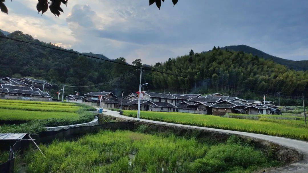 三明网红打卡地春节七天乐到明溪紫云村观鸟基地感受宁静乡村乐享醉氧