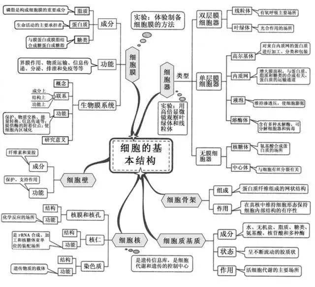 高中|高中九大学科思维导图最全汇总，高中三年都适用！（收藏）