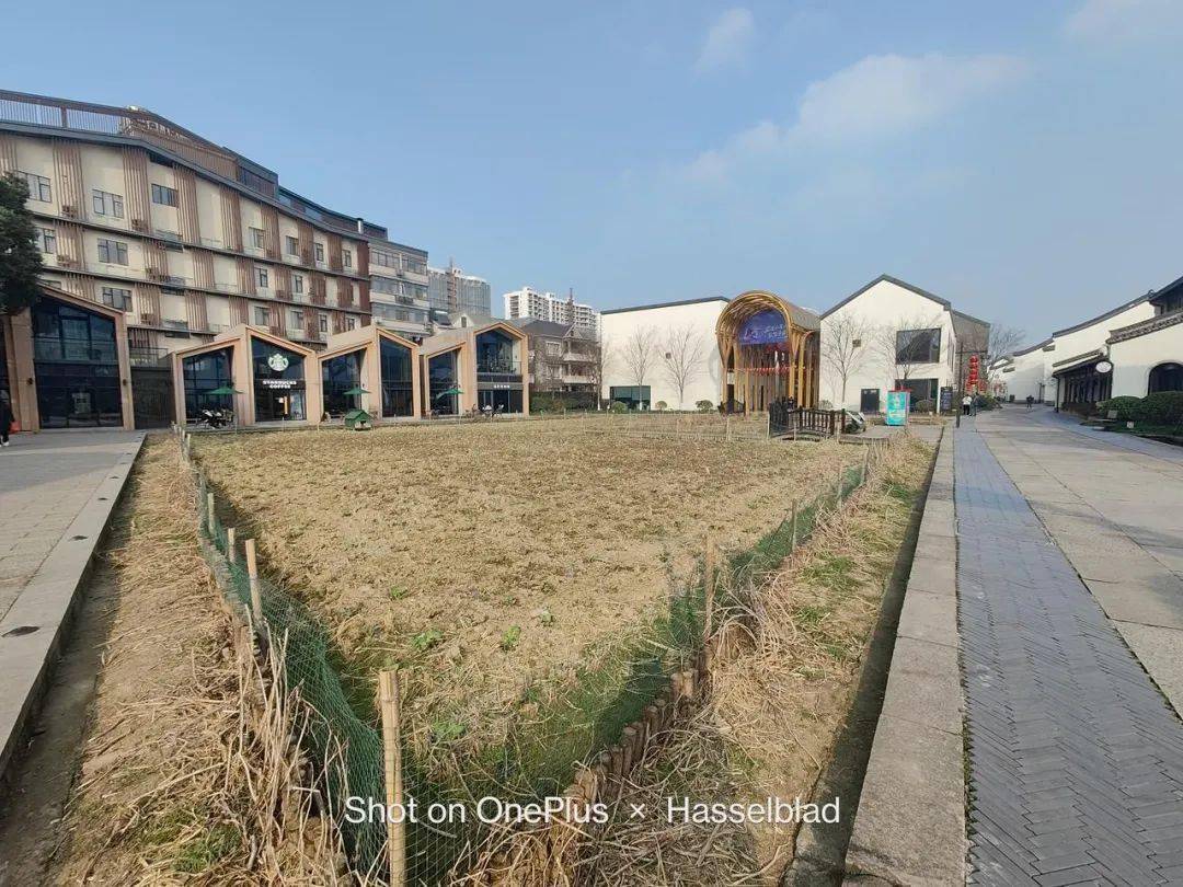 四款骁龙8系列手机拍照横评！各有各的离谱。。。