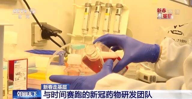 病毒|探秘首支新冠药物研发团队,他们是与病毒变异较量的科研人