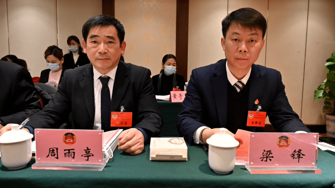 毛建华参加政协贵溪市七届二次会议第一组讨论