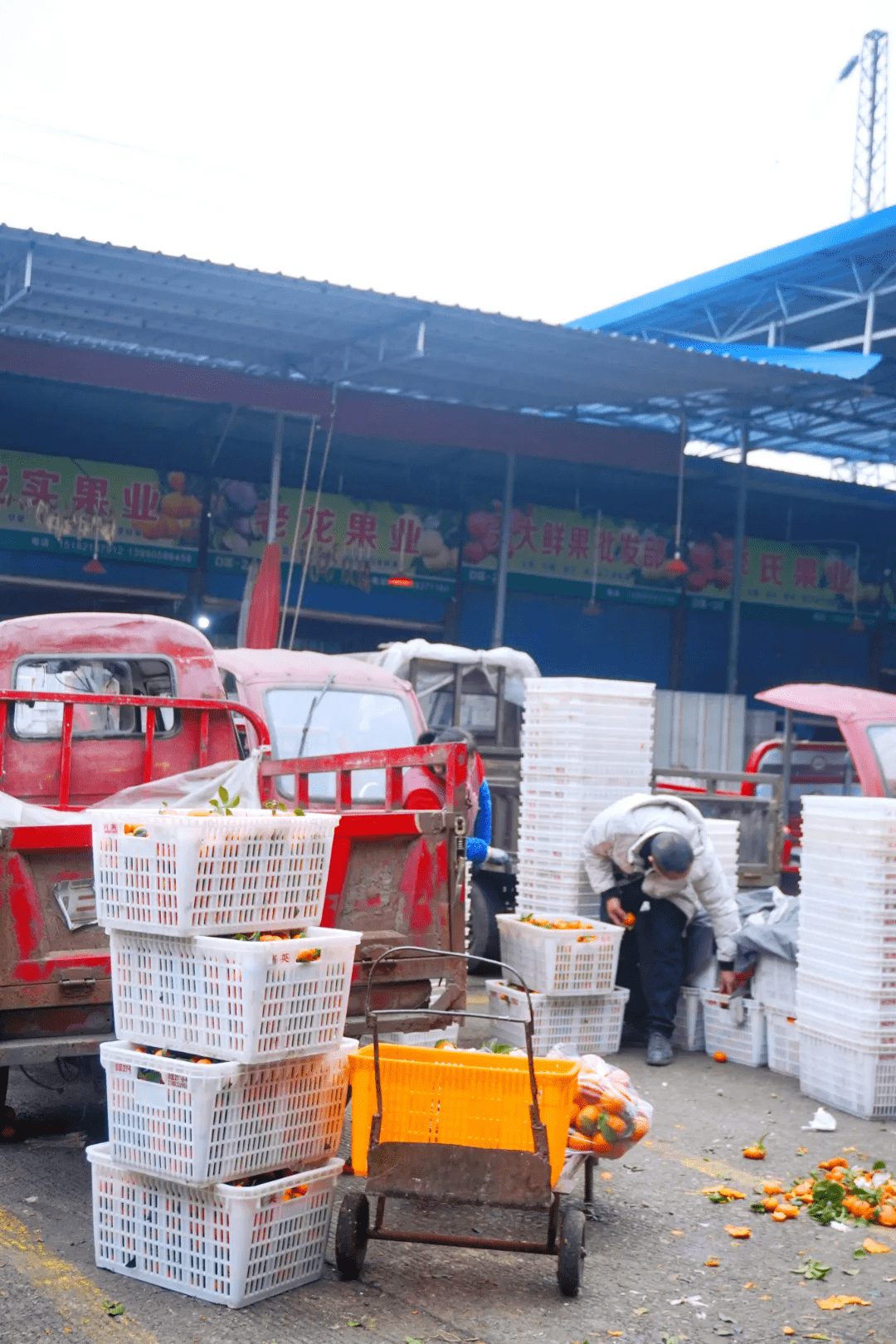 实拍内江超大水果批发市场车厘子草莓价格便宜的背后是