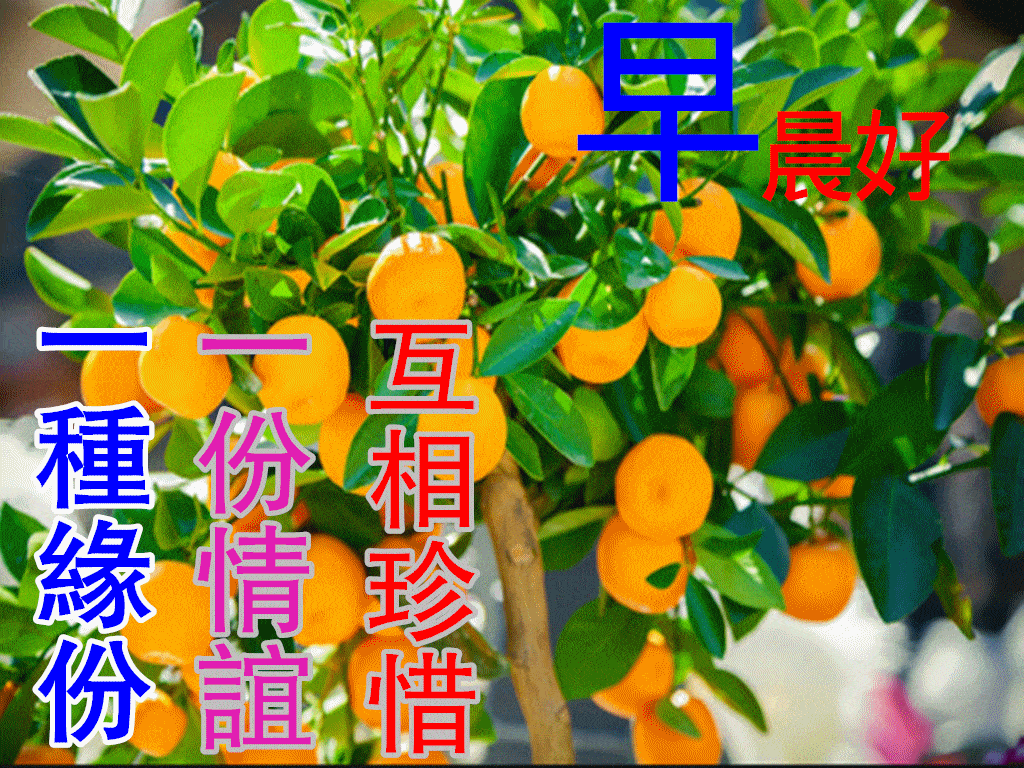 1月21日最漂亮早上好动态表情图片大全,早晨好动图美图大全_祝福_朋友