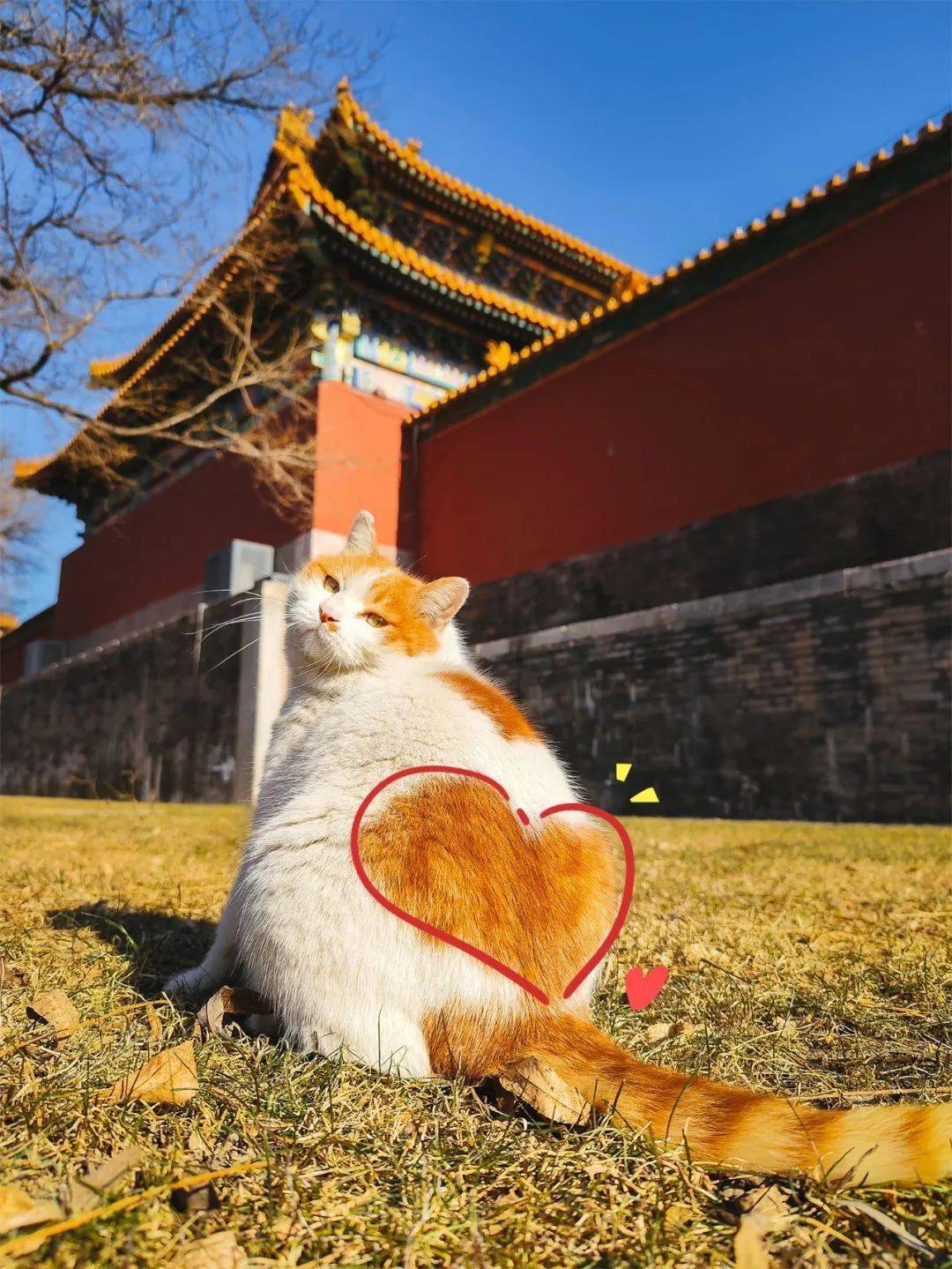 贺岁|顶流明星贺岁,送你全年表情包