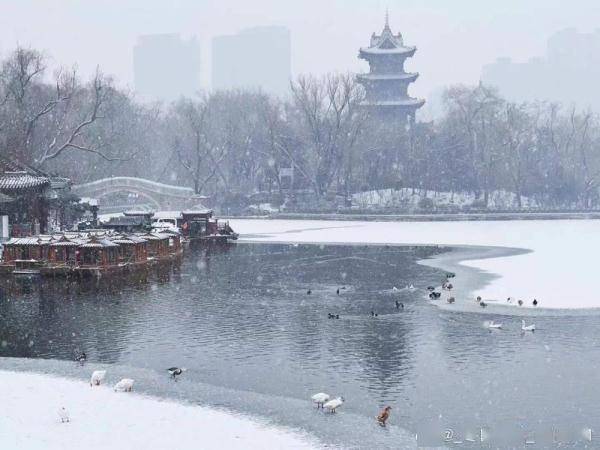 2022初雪上线！这份雪后安全出行须知请查收