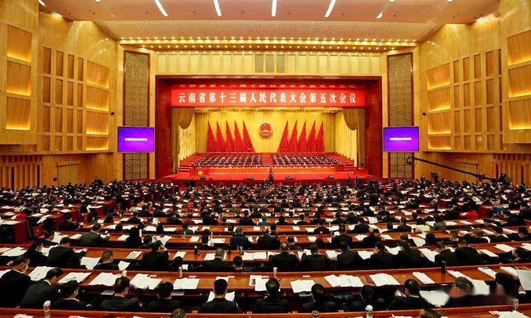 杨峥 雷桐苏 陈飞 黄兴能 摄政府工作报告里提到一