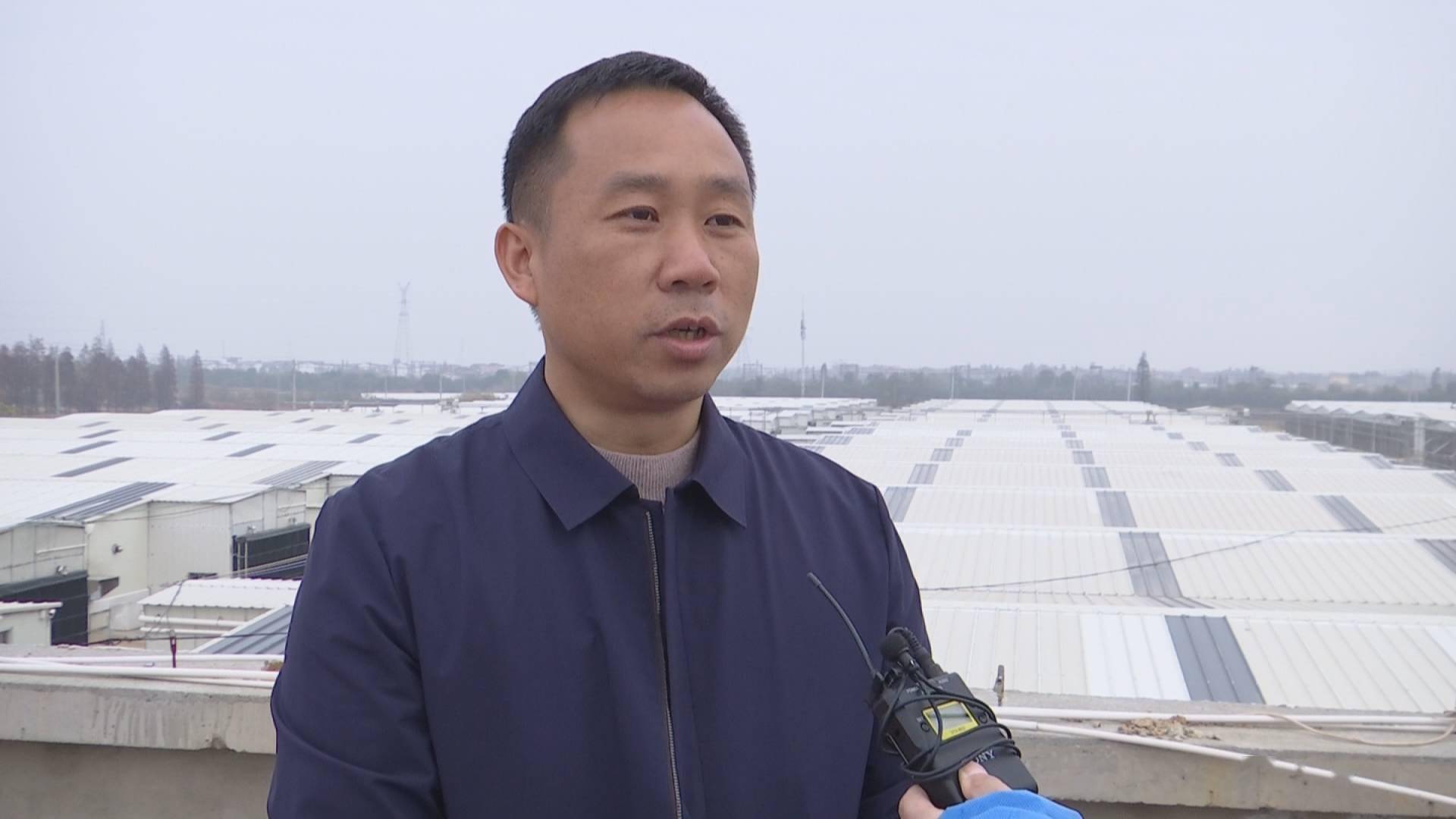 南昌县广福镇:养殖智能化 促进生猪稳产保供_王海云_猪舍_融资部