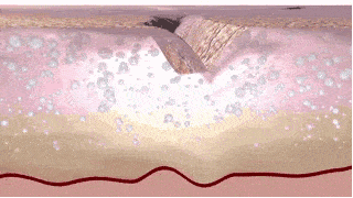 国货“显老”颈纹真的能“滚”掉!!430年的国货,一招get女明星“天鹅颈”!
