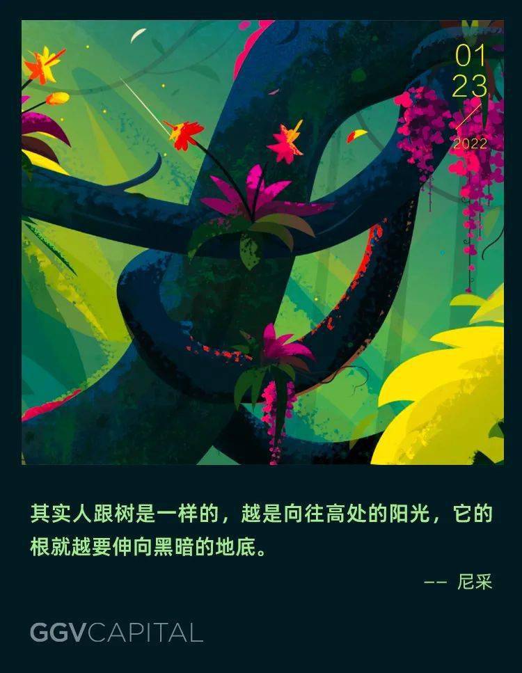 越是向往高处的阳光……