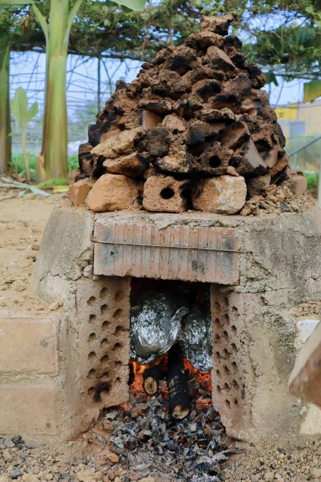 去摘金桔,挖红薯,窑红薯,共煮柴火鸡._冬日_田园_乡野