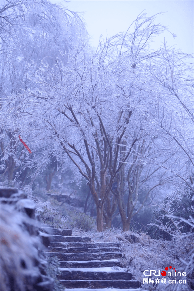 大幕山雾凇图片