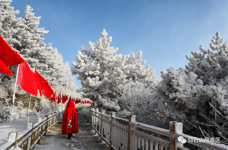 景区|让无数人刻进DNA的河北雪景有多香？