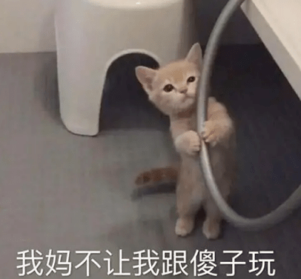 观众|快跑！这种全是「诈骗」剧！