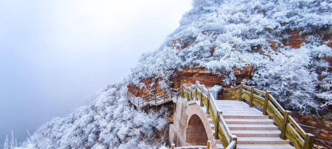 景区|让无数人刻进DNA的河北雪景有多香？