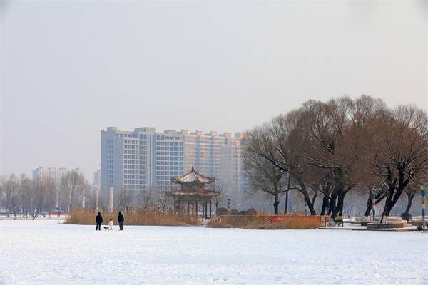 雪景|河北滦南：北河雪景美如画