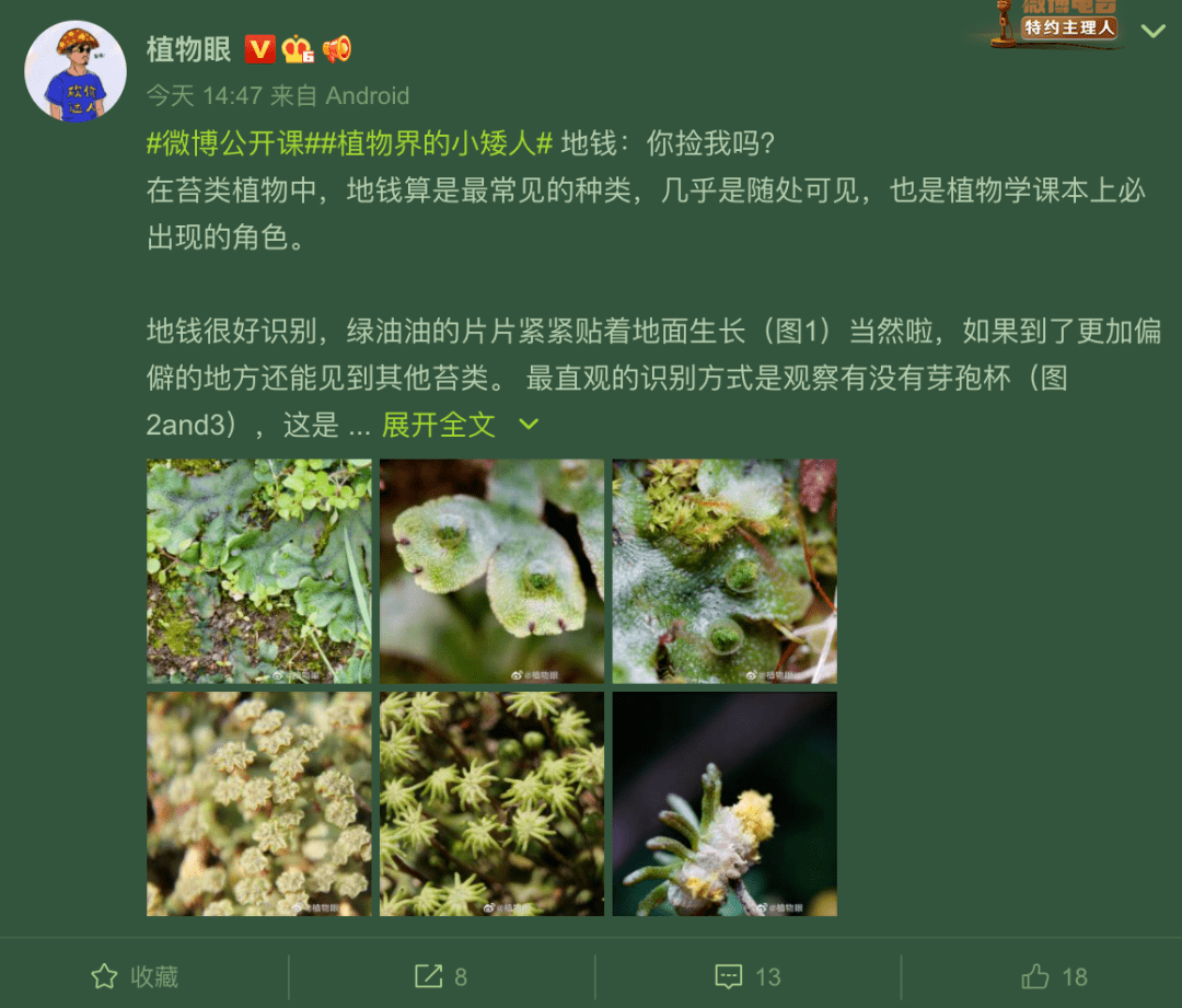 新网生内容来袭，微博连麦主理人大赛精准打样Z世代新媒介表达