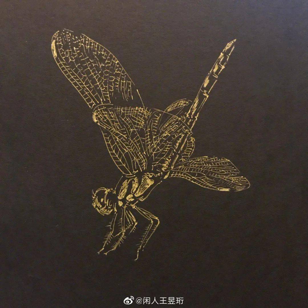 全能才子王昱珩清华毕业不工作鼓励女儿不上学却是人人膜拜的终极男神