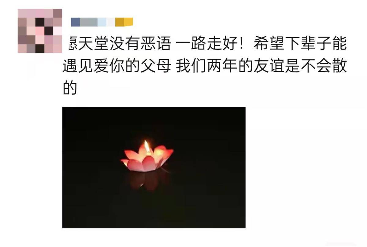 师友缅怀寻亲男孩刘学州同学愿天堂没有伤人的恶语