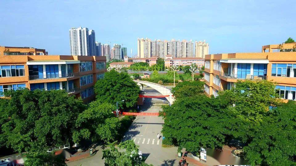 权威发布四川文化传媒职业学院2022年单独招生指南