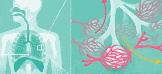 气雾|改善喉咙不适 清润咽沛珠