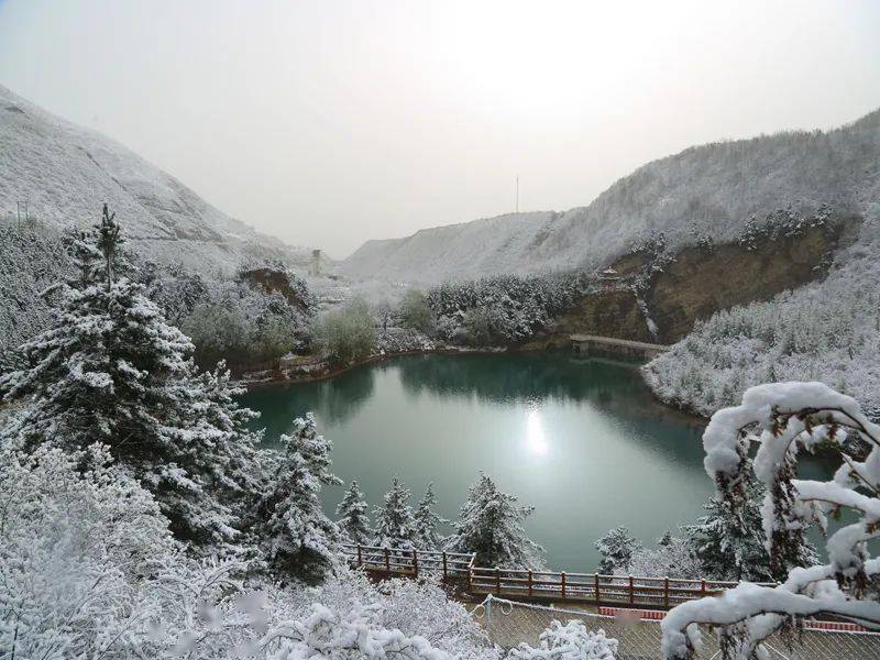 冬日的一场雪,美醉了整个六盘山…_美乡村_雪花_固原